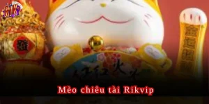 Mèo chiêu tài Rikvip
