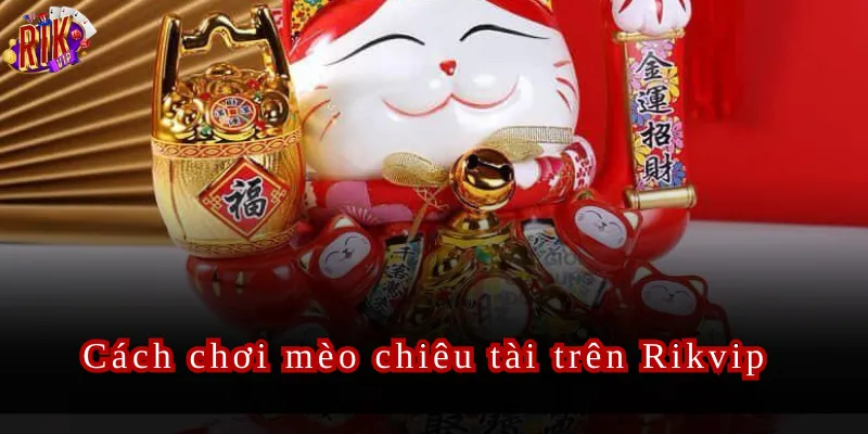 Cách chơi mèo chiêu tài trên Rikvip