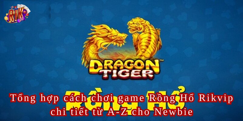 Tổng hợp cách chơi game Rồng Hổ Rikvip chi tiết từ A-Z cho Newbie