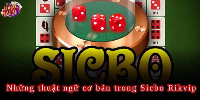 Những thuật ngữ cơ bản trong Sicbo Rikvip