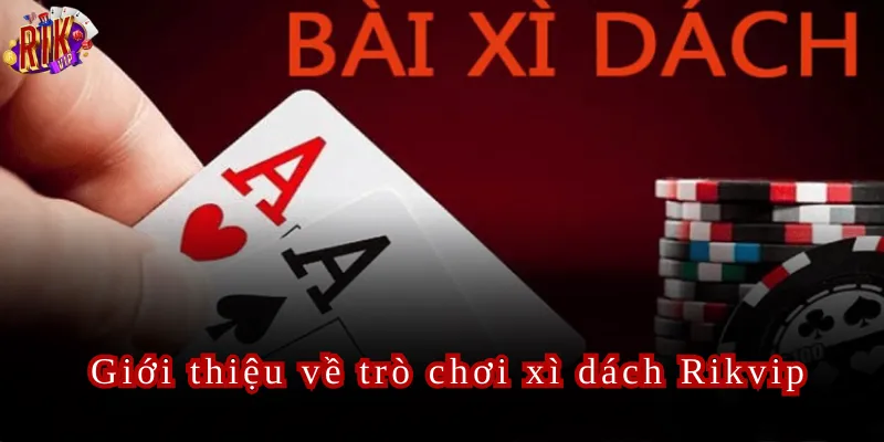 Xì Dách Rikvip Quy Tắc Vàng Giúp Chiến Thắng Đối Thủ