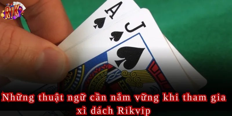 Những thuật ngữ cần nắm vững khi tham gia xì dách Rikvip